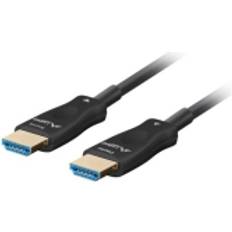 Lanberg HDMI Cable CA-HDMI-30FB-0100-BK