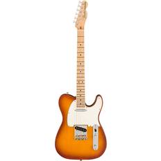 Musikkinstrumenter Fender American Performer Telecaster, Honey Burst Electric Guitar