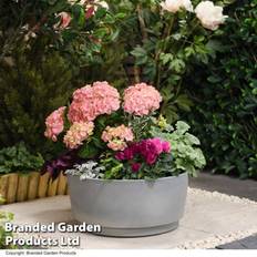 Garden Gear Concrete Effect Bowl Planter