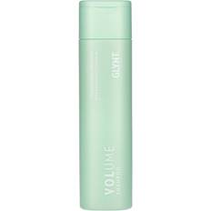 Volume Shampoo