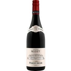 Le Arche Vine Le Arche Pinot Noir 64.50 kr. pr. flaske