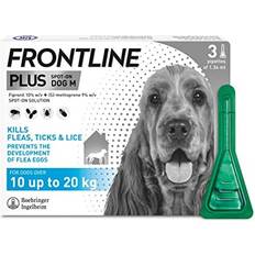 Frontline Plus Flea & Tick Treatment for Medium Dogs 10-20