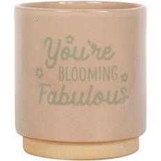 Something Different Youre Blooming Fabulous Speckle Plant