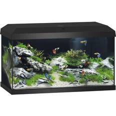 Juwel Aquarium set juwel primo 60