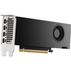 Nvidia RTX 2000 Ada Generation 16GB