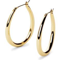 Ana Luisa Gold Hoop Earrings Cuidado Hoop Earrings 14K Chunky Gold Hoops Hypoallergenic, Water-Resistant & Tarnish-Free Stylish Gold Hoops
