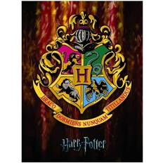 Yellow Framed Art Harry Potter Crest Canvas Print 80cm Framed Art