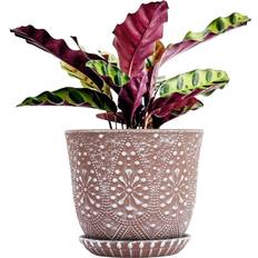 Gepege 10 Inch Ceramic Plant Pot