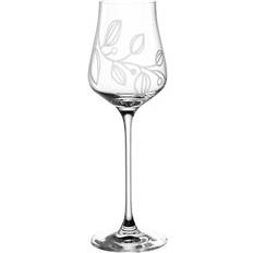 Leonardo boccio grappaglas 210ml 6er schnapsglas Sektglas 21cl