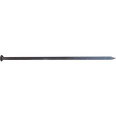 Baron 10462 96st
