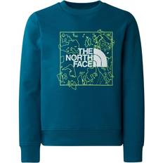 The North Face Boys Sweatshirts The North Face New Graphic Sweatshirt Blue Moss/Lemon Yellow 152