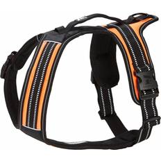 Feel Active Hundar Husdjur Feel Active Sport Sele Orange
