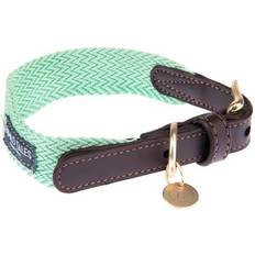 Tales Bloom Collar