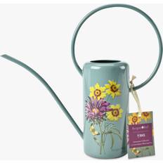 RHS Gifts for Gardeners Asteraceae Sage
