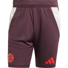 Abbigliamento per tifosi sportivi Adidas Pantaloncini Calcio Bayern Training Bordeaux Rosso Uomo