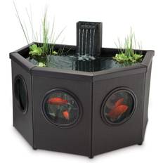 Affinity Mocha Half Moon Pool