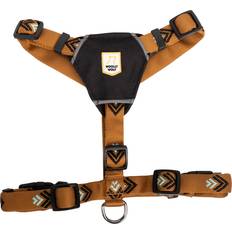 Harness Sea to Summit S