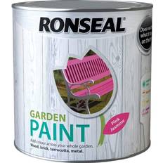 Ronseal Pink Paint Ronseal Garden Jasmine Wood Paint Pink 0.76L