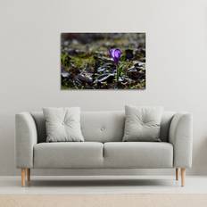 Purple Wall Decorations Autumn Cat Tail Grass Growing Along A Walkway Framed Art