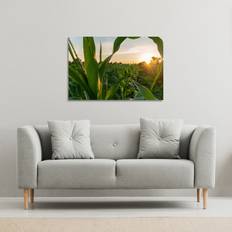 Green Framed Art corn and sun close up Canvas Print 31cm Framed Art