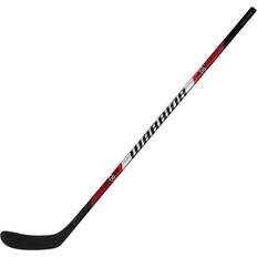Rise Ishockeystav Youth