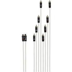 Fusion Performance RCA Cable - Dual