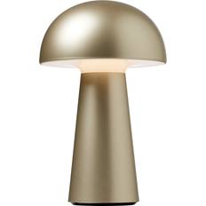 Nielsen Light Move Me Uppladdningsbar Blank Bordslampa 21.5cm