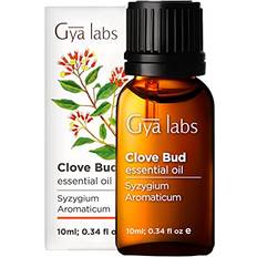 Massage- & Relaxation Products Clove Oil For Oral Care Yellow 41 g