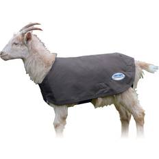 XXL Horse Rugs Weatherbeeta Deluxe Goat Coat Grey XX-Large