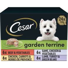 Cesar 150g Garden Terrine Dog Food Trays