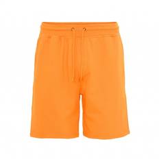 Orange - Unisex Trousers & Shorts Colorful Standard Classic Organic - Sunny Orange
