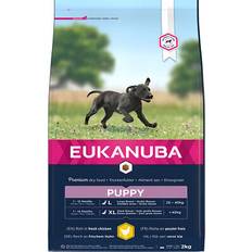 Eukanuba large breed puppy dry dog food chicken 2kg