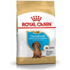 Royal Canin dachshund puppy dry dog food