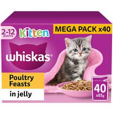 Whiskas kitten wet cat food poultry feasts jelly