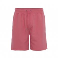 Pink - Unisex Trousers & Shorts Colorful Standard Classic Organic Raspberry Pink