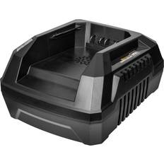 Standard Charger 1-pack