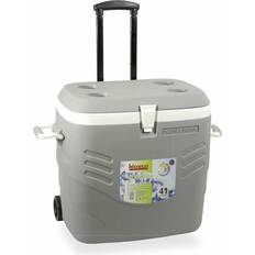Bolsas térmicas & Neveras portátiles Hidalgo Nevera Portátil Rígida 41l Gris