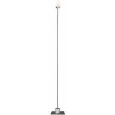 Northern Snowball D8 Golvlampa