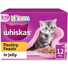 Whiskas kitten wet cat food poultry jelly