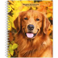 BrownTrout Golden Retrievers 2025 6 Spiral Bound Wire-O Weekly Engagement Planner Calendar