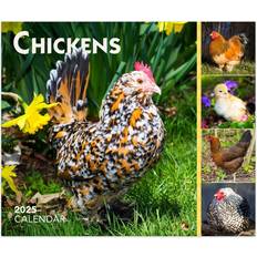 Brown Calendars BrownTrout 2025 Desk Calendar 5.13"x6.06" Chickens