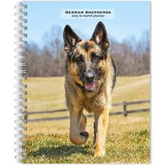 BrownTrout Spiral-Bound Wire-O Weekly Engagement Planner 6 x 7.75 Inch