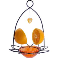 Oriole bird feeder, orange fruit oriole