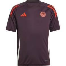 adidas Kids FC Bayern Tiro 24 Training Jersey