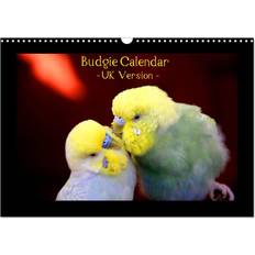 Calvendo 2025 Budgie UK Version Wall Calendar A3 Landscape