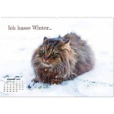 On wall Calvendo Animal & Cheerful Life Goes On Wall Calendar 2025 A2