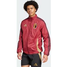 Clothing Adidas Belgien Anthem Jacke