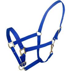 Blue Horse Halters Tabelo Nylon Halter w/Adj Chin Horse Blue Horse