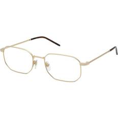 Lozza VL2426 Treviso 4 0300 Mænd Guld