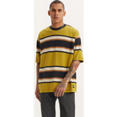 Levi's Skate Graphic Box T-Shirt in Green Sulphur Stripe & Brown